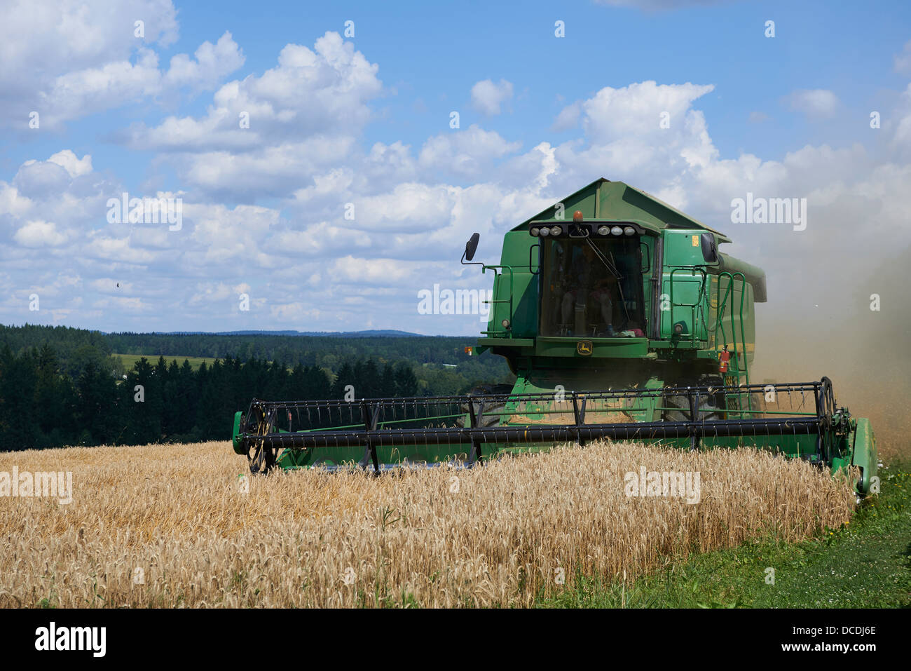 Combine harvester harvesting field of wheat. Summer Stock Photo - Alamy