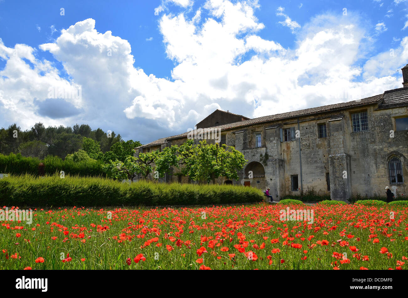 Saint Paul-de-Mausole, St. Remy Provence France   Vincent van Gogh, poppy field Stock Photo