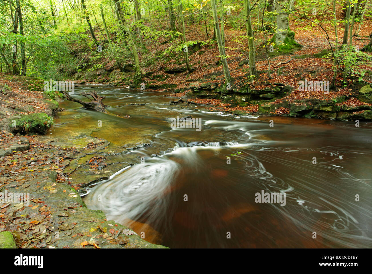 Swirls in May Beck flowing through Sneaton Forest in the North York Moors National Park Stock Photo