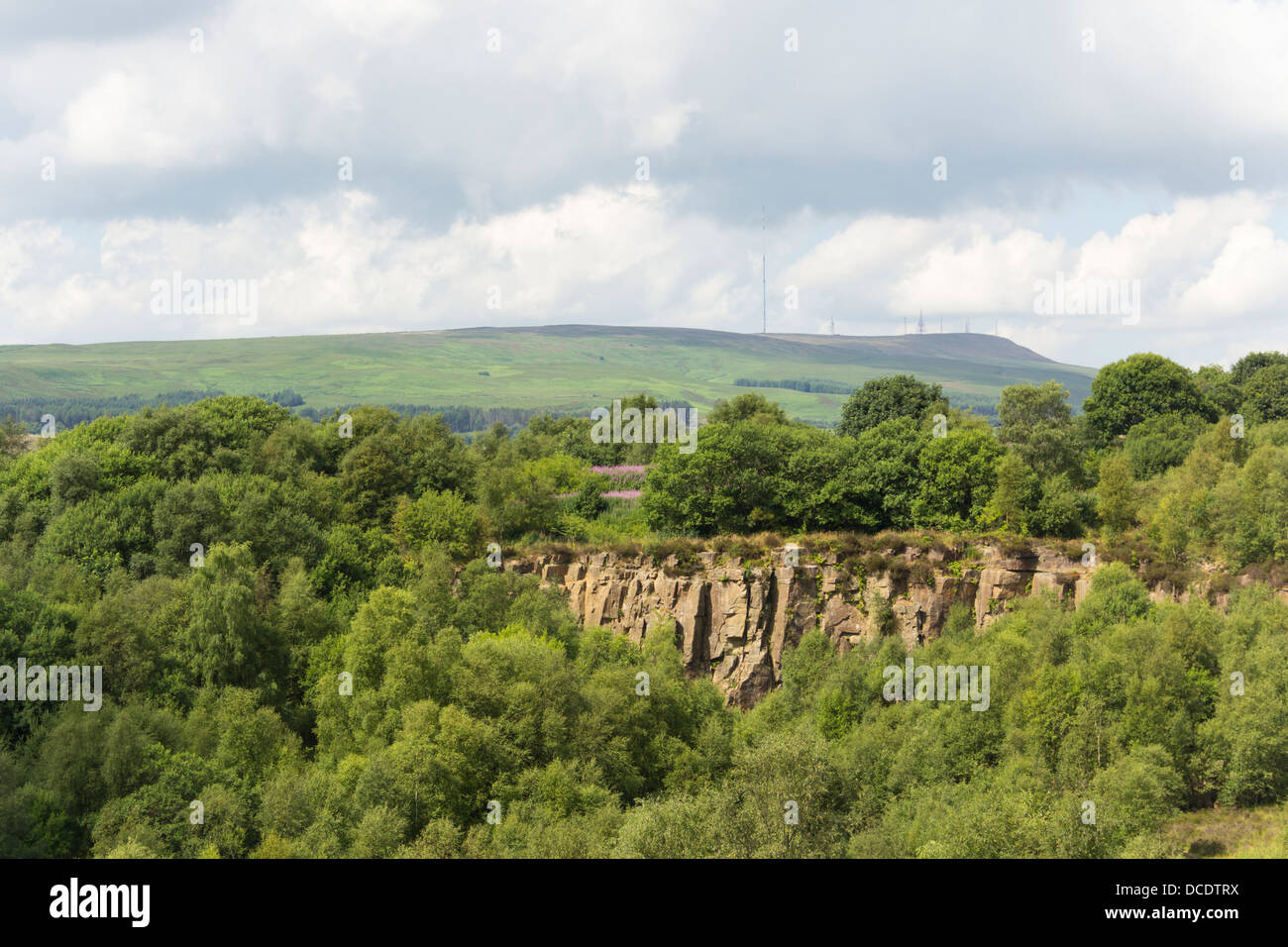 Heavily overgrown hires stock photography and images Alamy