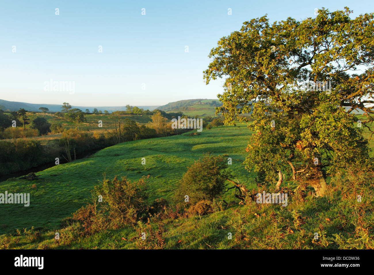 A peaceful morning view of Esk Dale looking west near to the village of Danby in the North York Moors National Park Stock Photo