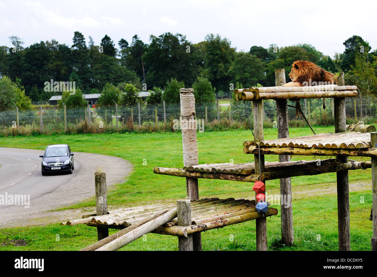 Blair Drummond Safari Park near Stirling Stock Photo Alamy