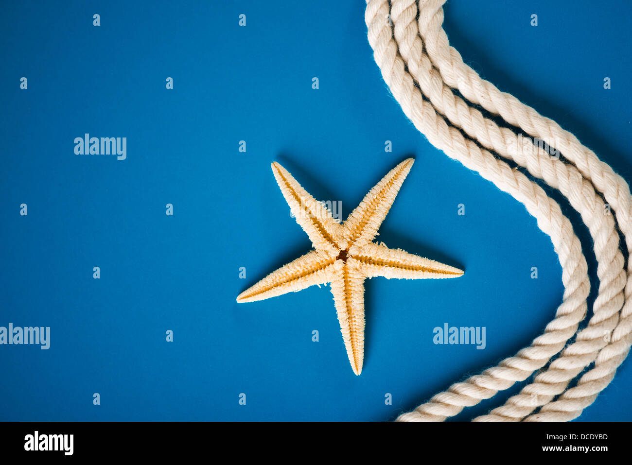 Rope and starfish on blue Stock Photo - Alamy