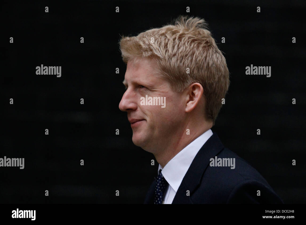 Jo Johnson the brother of Boris Mayor of London Stock Photo Alamy