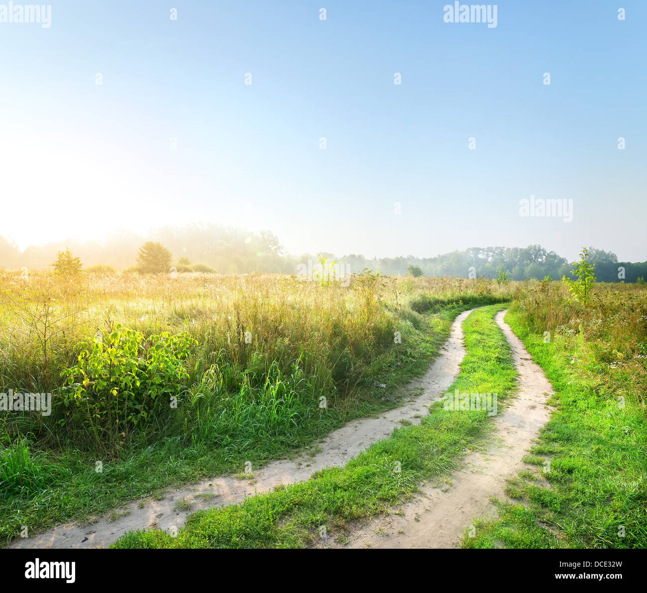 Road in the field at the sunrise Stock Photo - Alamy