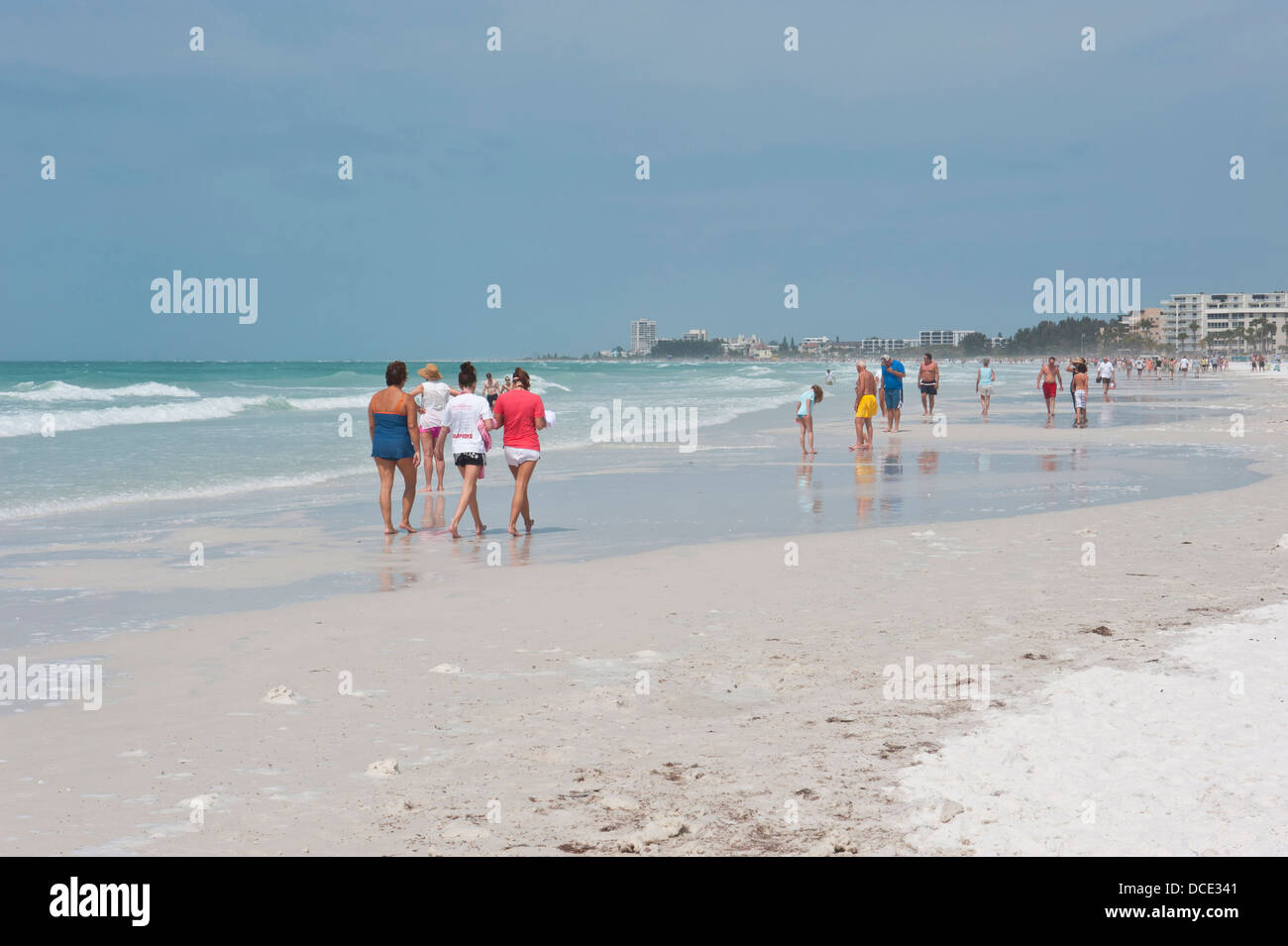 Usa Florida Sarasota Crescent Beach Siesta Key People Walking And Shelling Rated Best 0393