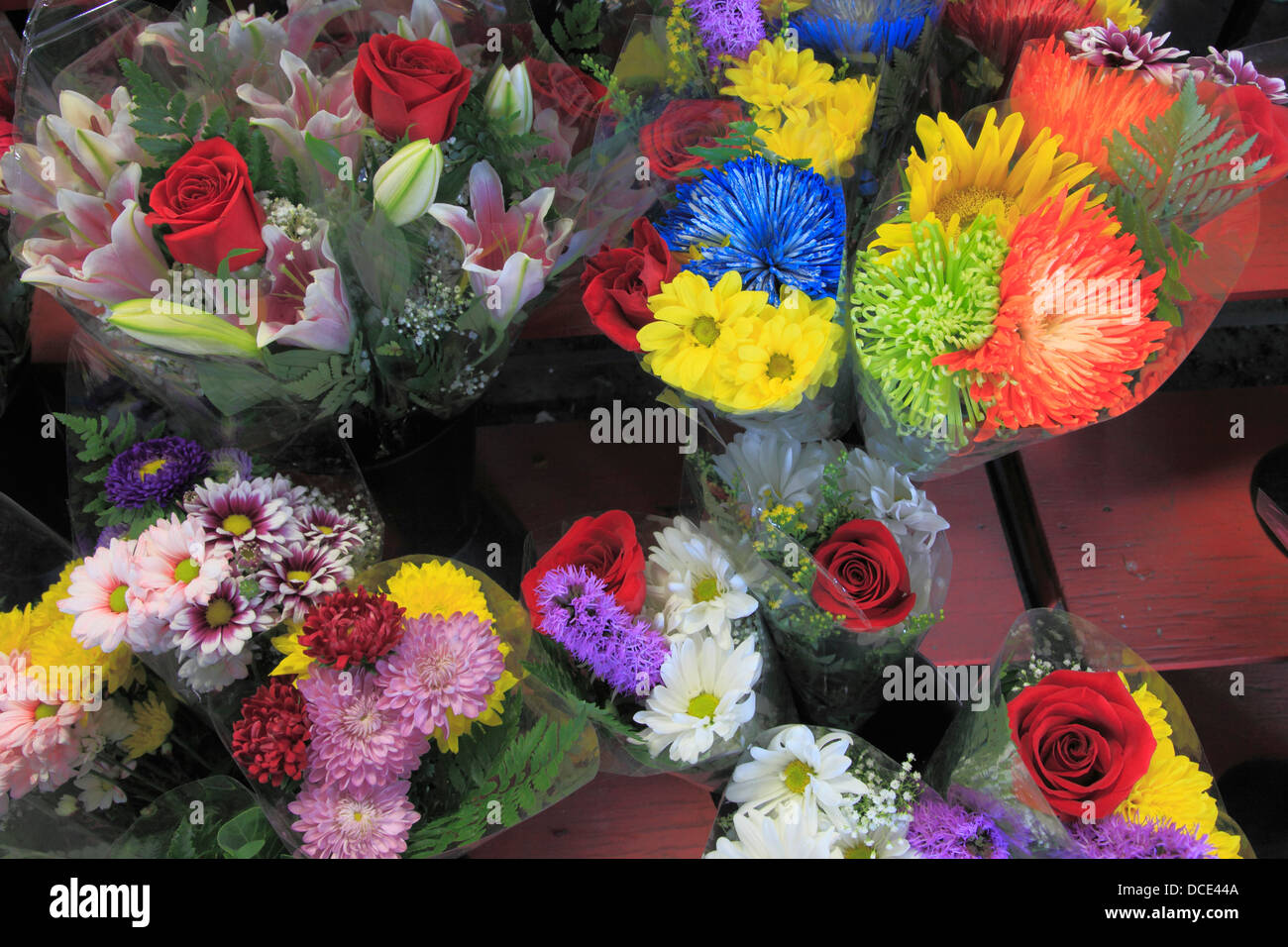 Canada, Quebec, Montreal, Jean-Talon Market, flowers, Stock Photo