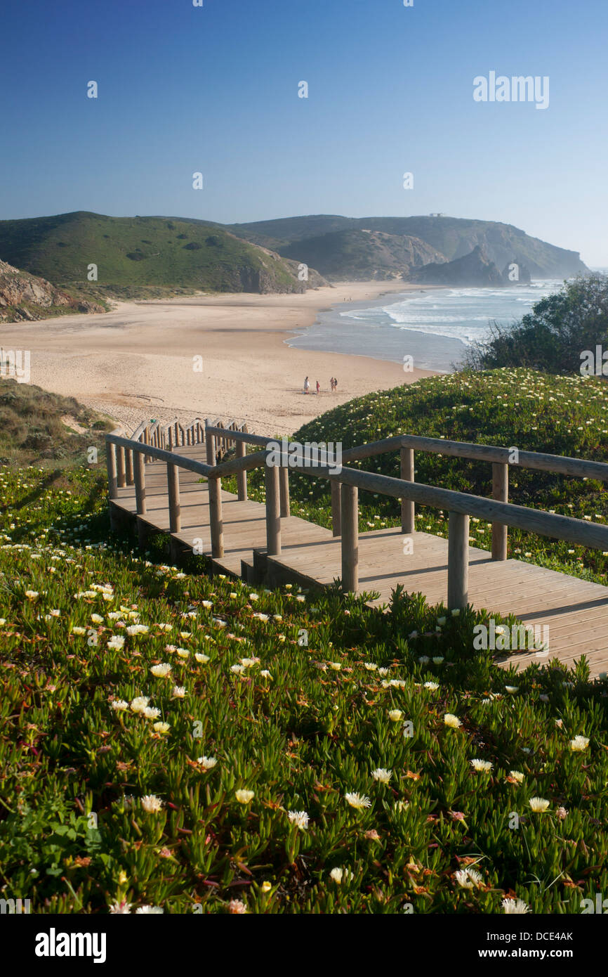 Praia do Amado with spring flowers and wooden walkway / stairs in foreground Costa Vicentina Algarve Portugal Stock Photo