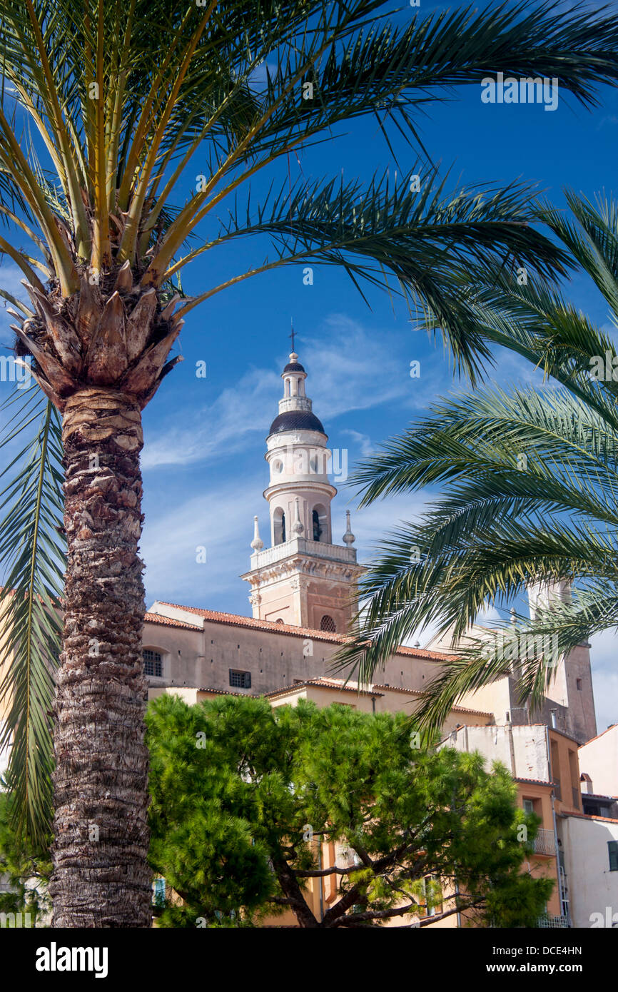 Church of St Michel seen between palm trees Menton Cote d'Azur French Riviera Alpes-Maritimes Provence France Stock Photo