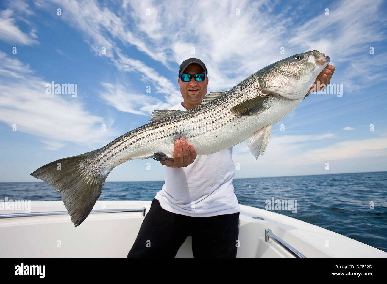 Man holding a striped bass; massachusetts usa Stock Photo Alamy