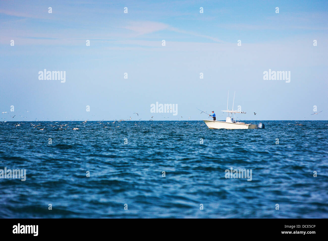 Fly fishing off a boat; montauk new york usa Stock Photo Alamy