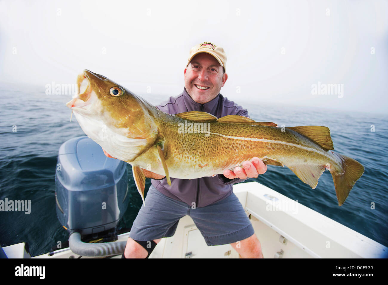 Man holding a cod fish caught in boston harbor; boston massachusetts ...