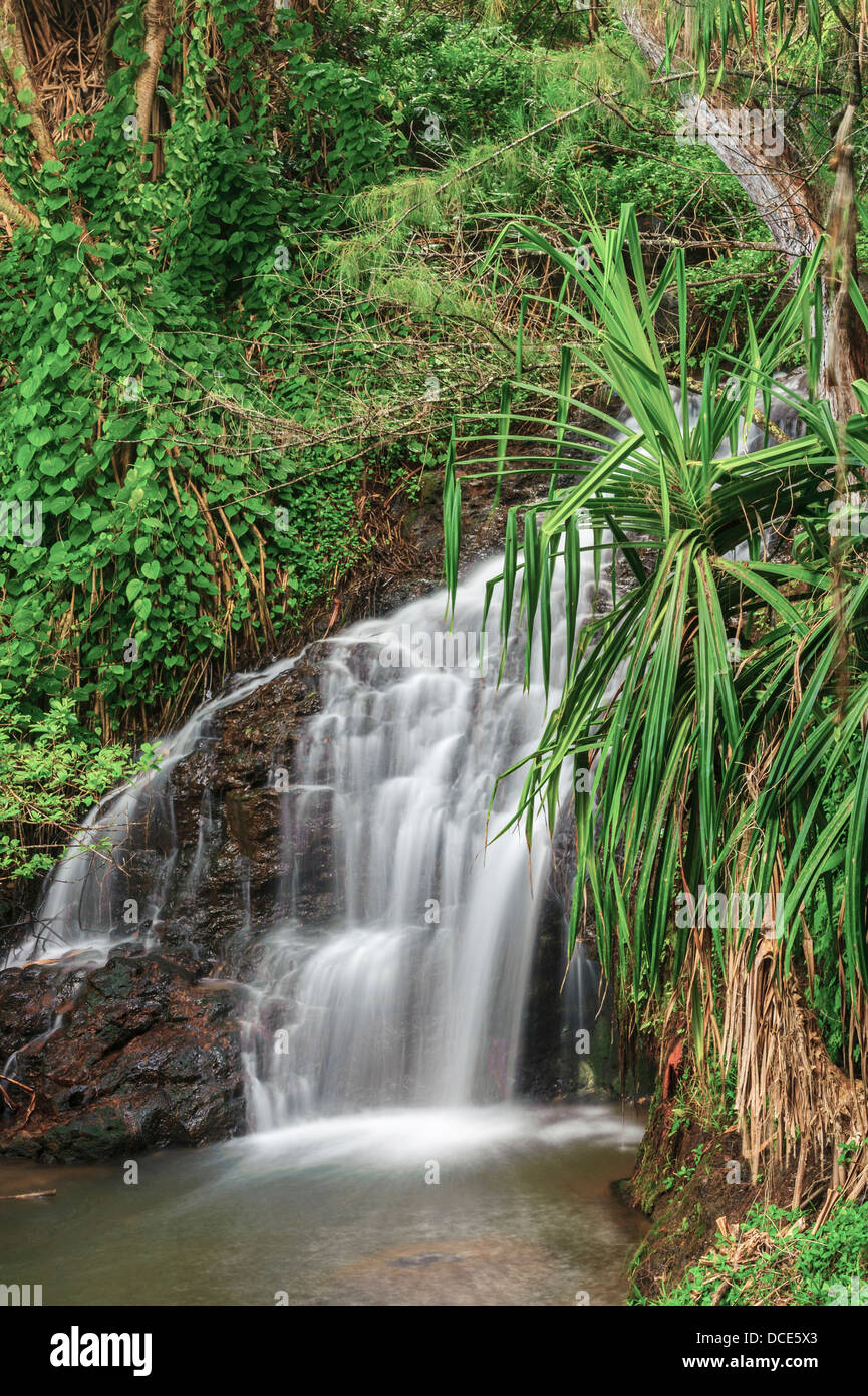 USA, Hawaii, Kauai. Waterfall along the trail to Queens Bath, Lihue ...