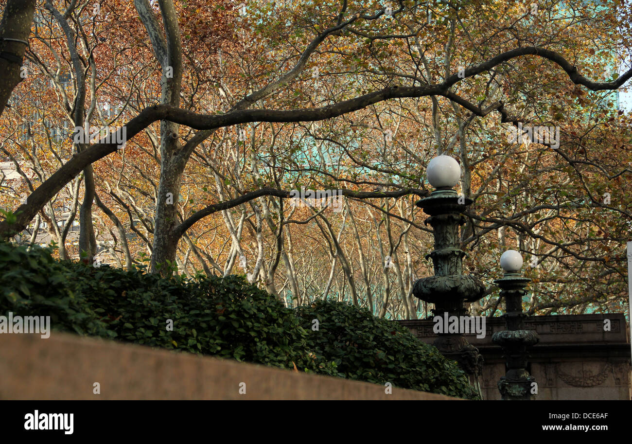 autumn trees in bryant park in nyc Stock Photo - Alamy