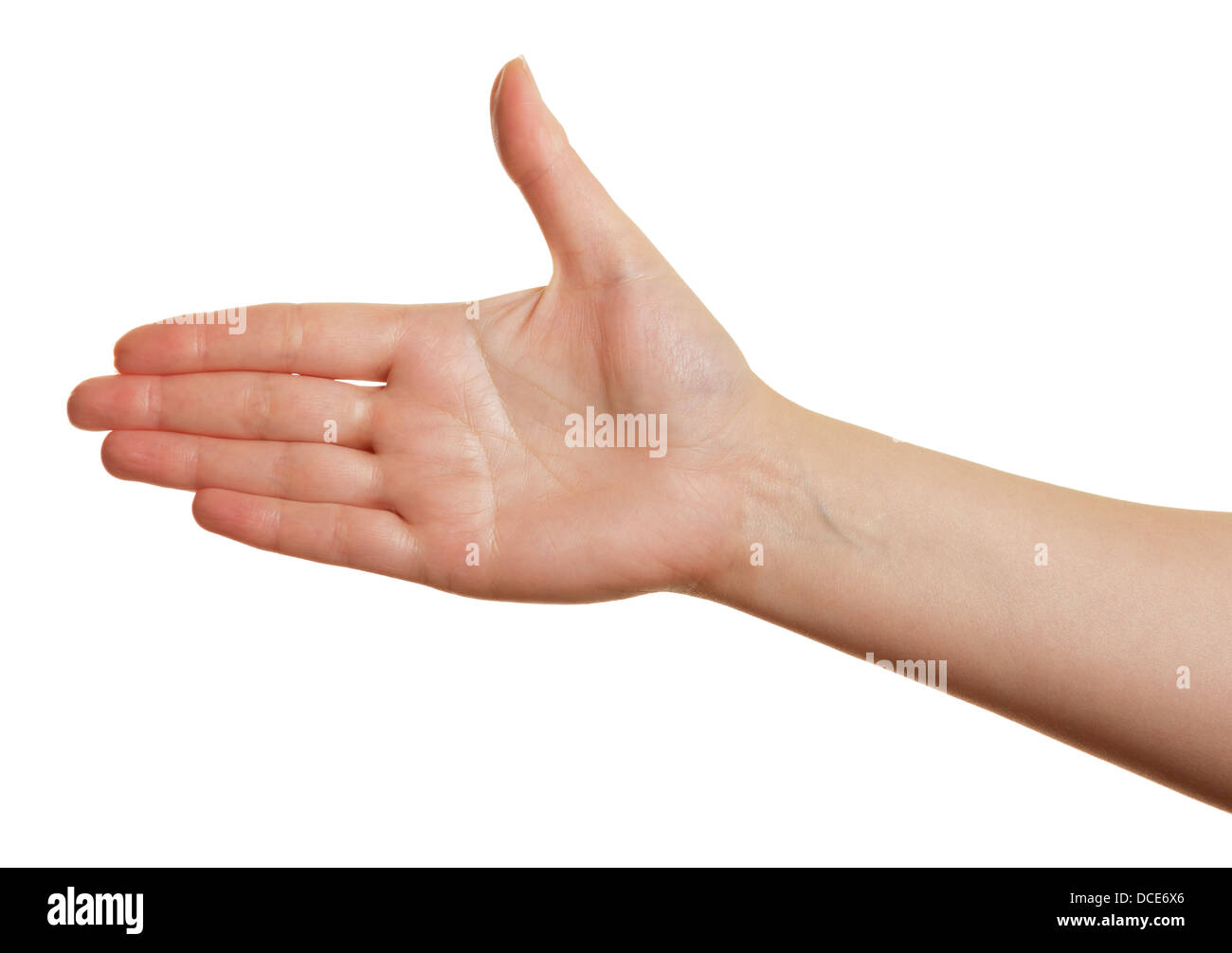 open palm of female hands on a white background. fingers together Stock Photo