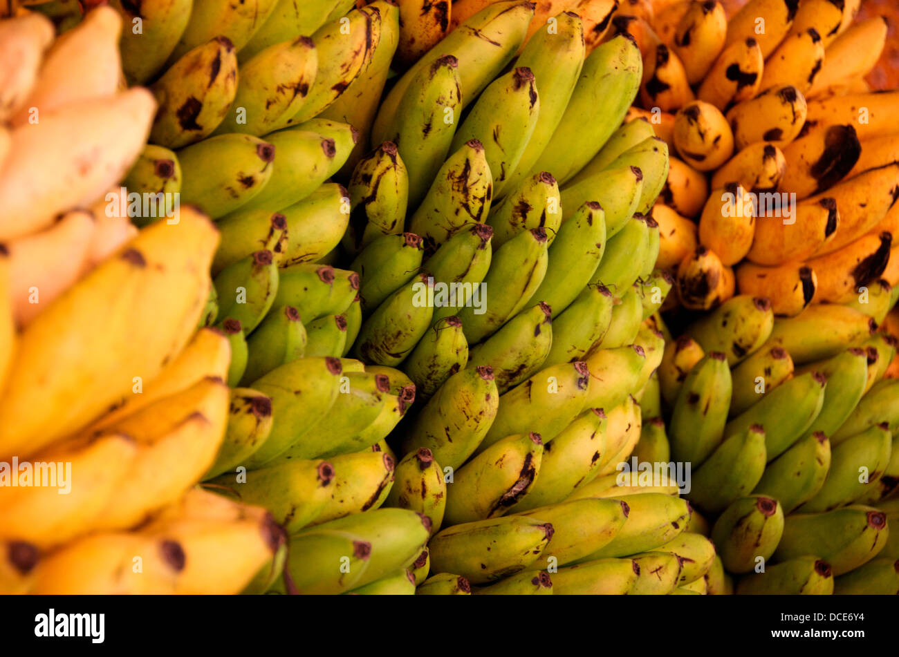 https://c8.alamy.com/comp/DCE6Y4/bunch-of-ripe-bananas-background-DCE6Y4.jpg