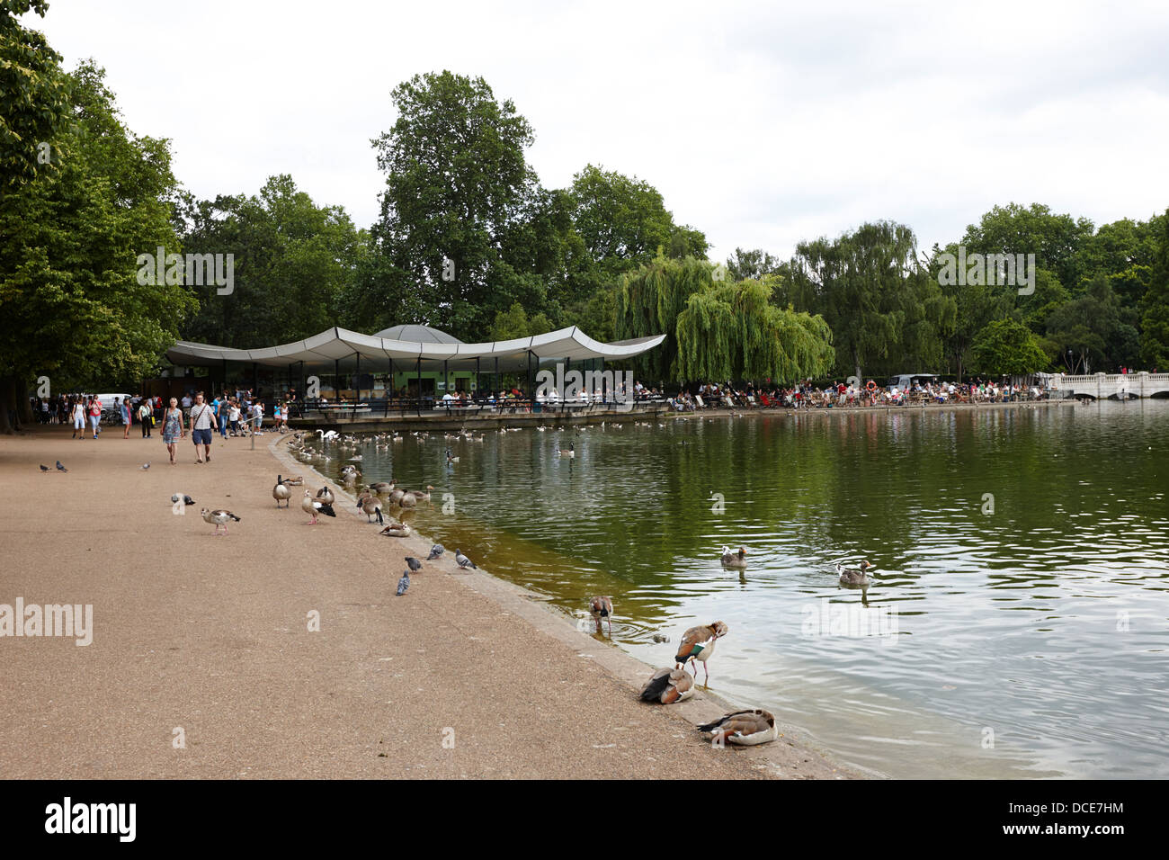 ducks and geese on the serpentine near the dell restaurant hyde park London England UK Stock Photo