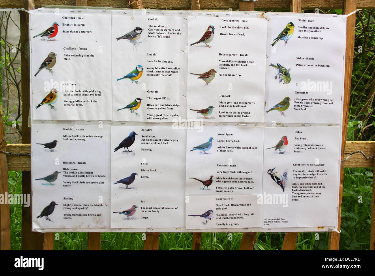 Information board identifying bird species in country park Stock Photo