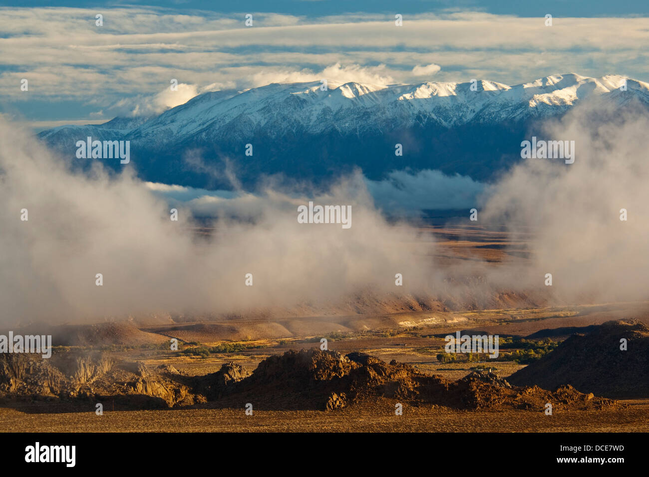 Cloud rising out of the Owens Valley below the White Mountains, Eastern Sierra, California Stock Photo