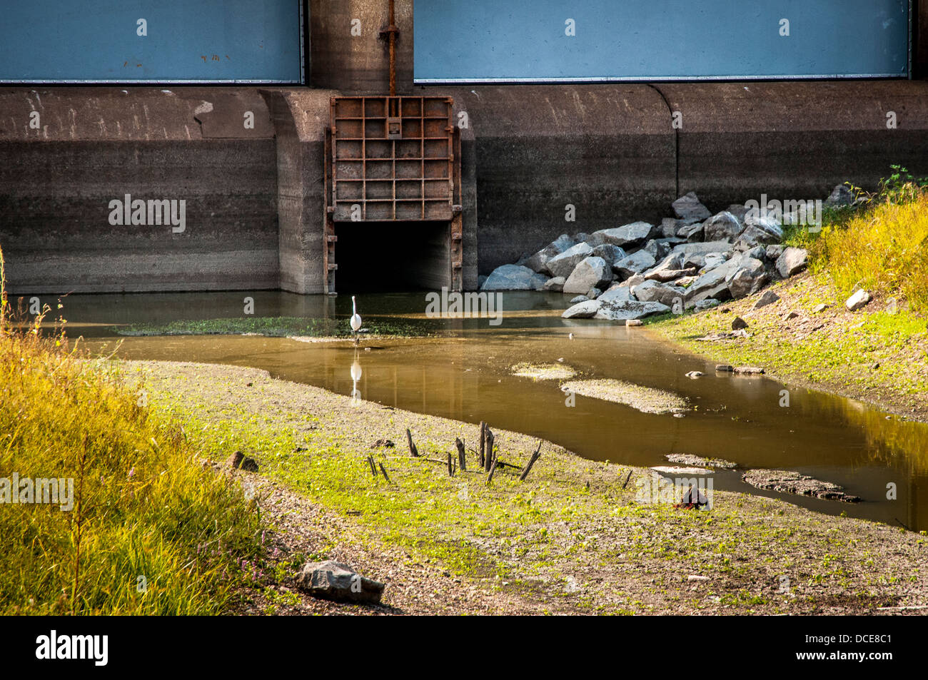 USA, Louisiana, Atchafalaya Basin, Morganza Spillway, land east (upriver) of spillway gates, egret in front of gate. Stock Photo