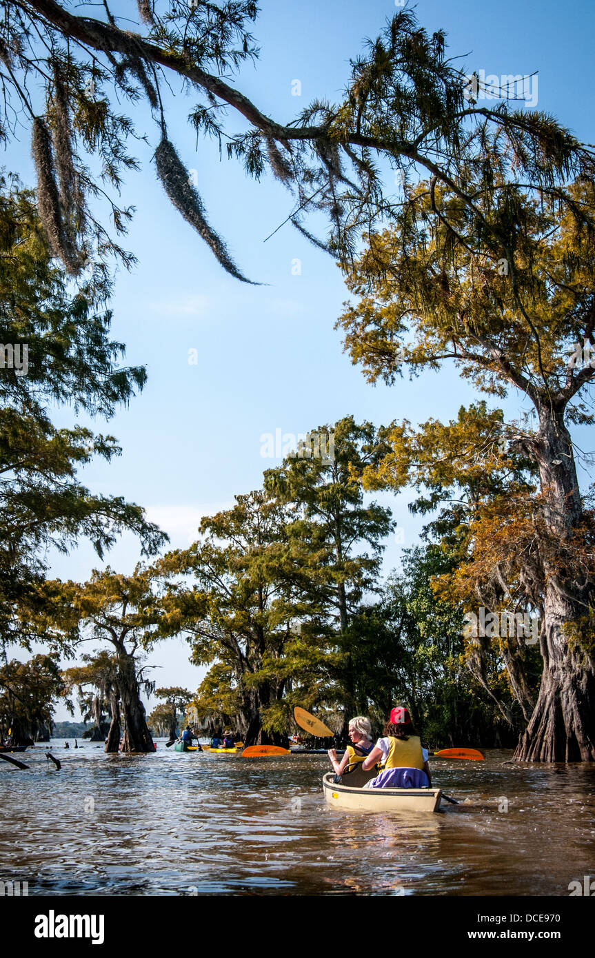 USA, Louisiana, Atchafalaya Basin, Lake Fausse Point State Park