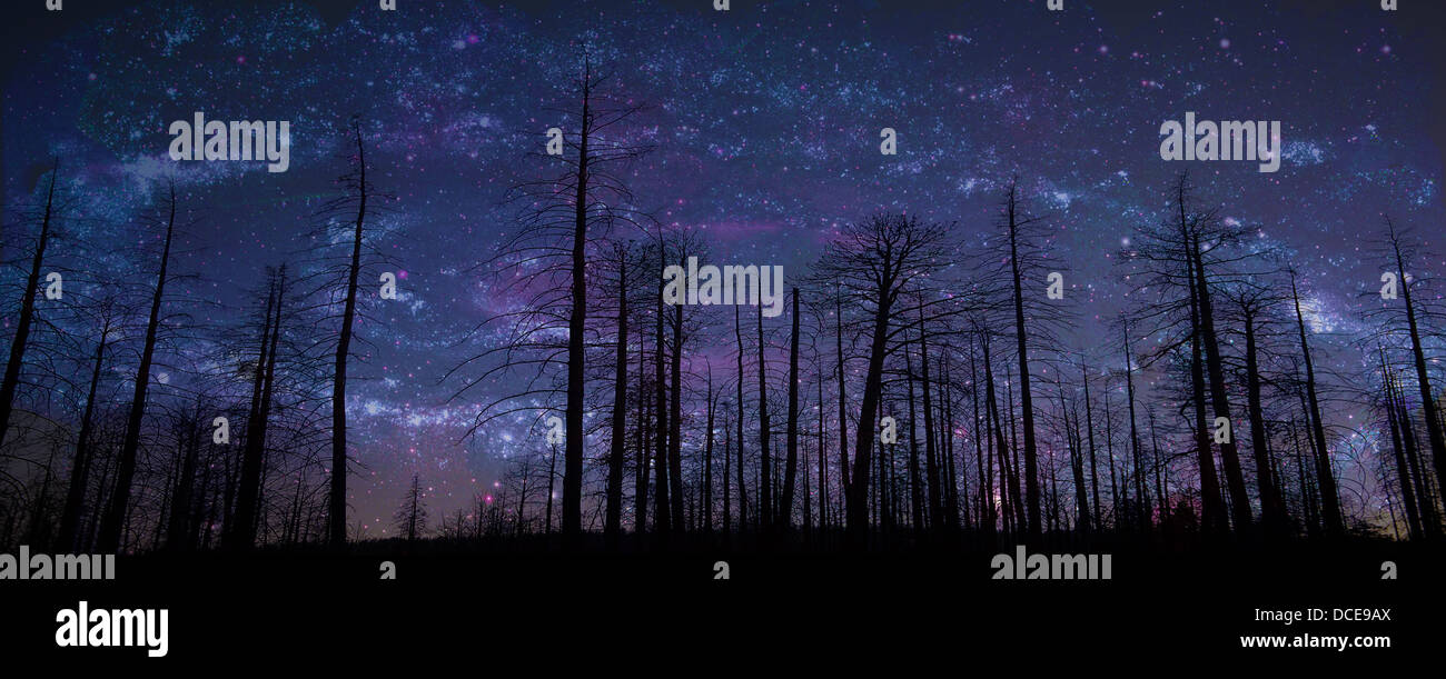 The Heavens Declare The Glory Of God Psalm 19 1 Stock Photo Alamy