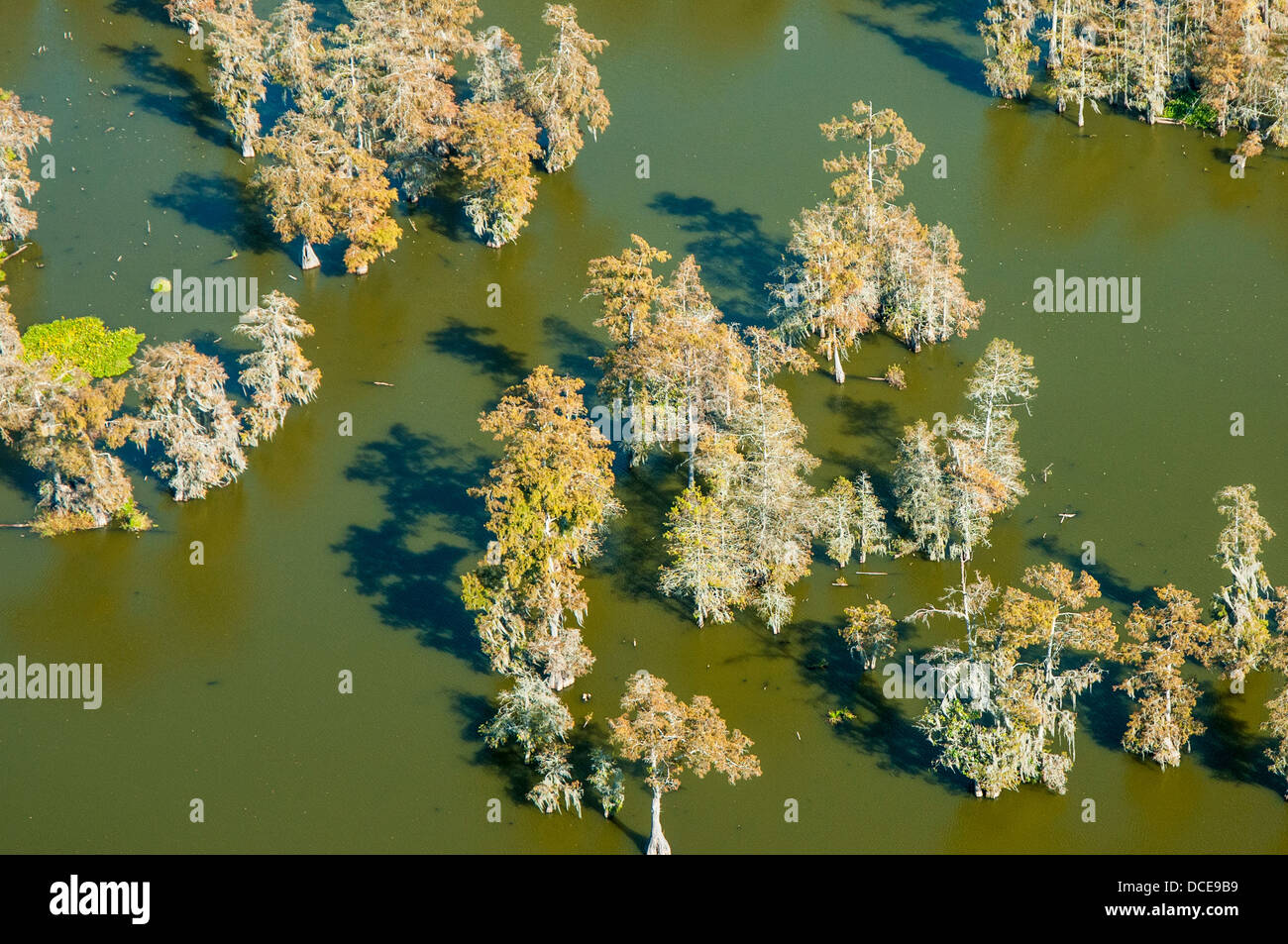 USA, Louisiana, Aerial photo of Atchafalaya Basin area, St Martin