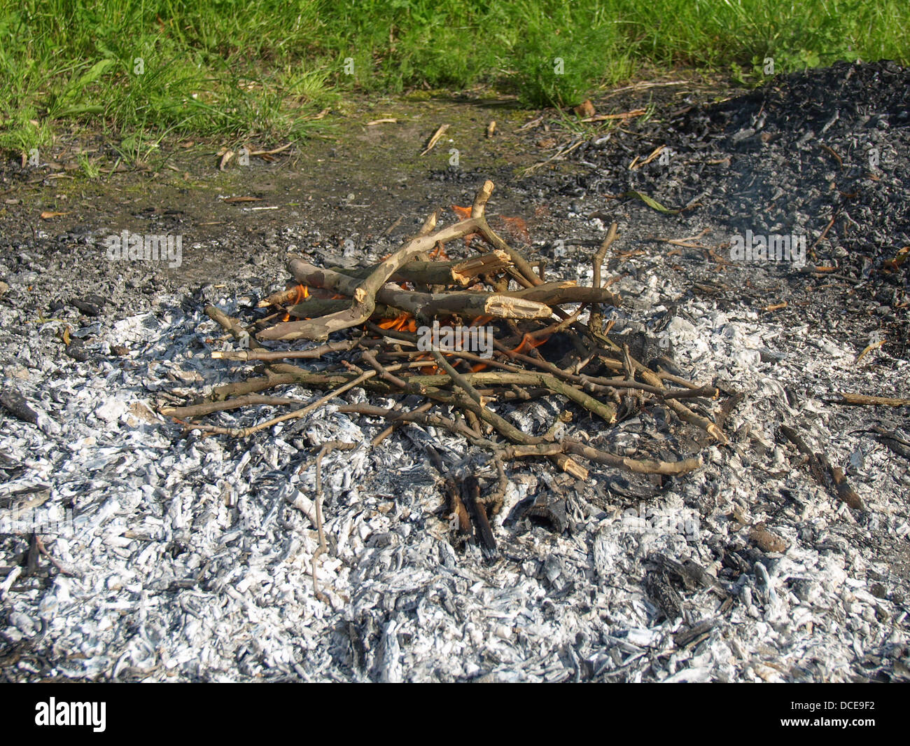 Wood ashes products of fire incineration or combustion Stock Photo Alamy