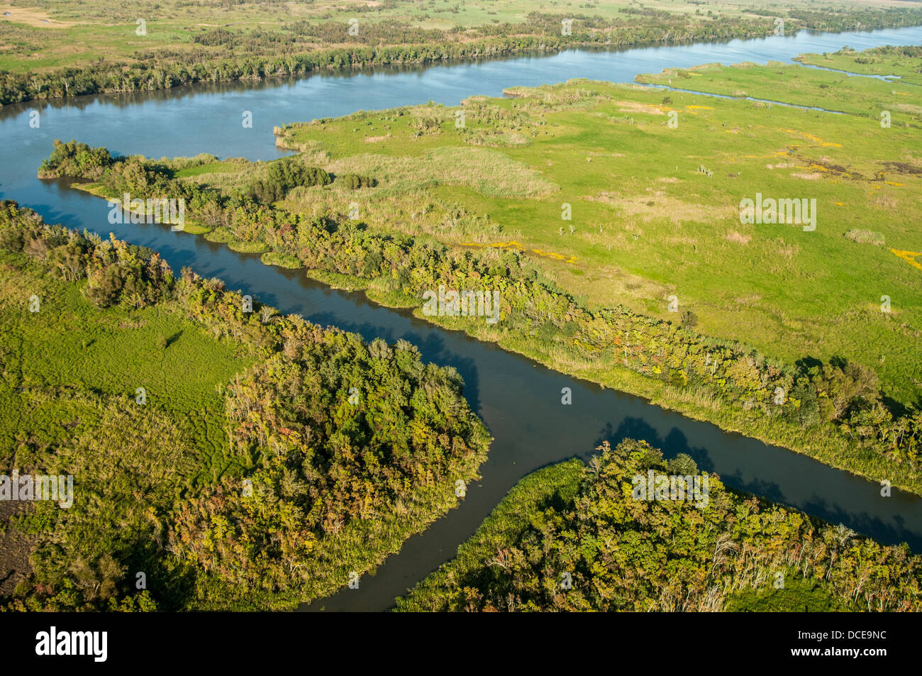 USA, Louisiana, Atchafalaya Basin, man-made channels which provide access to oil drilling sites but disrupt flow of the basin. Stock Photo