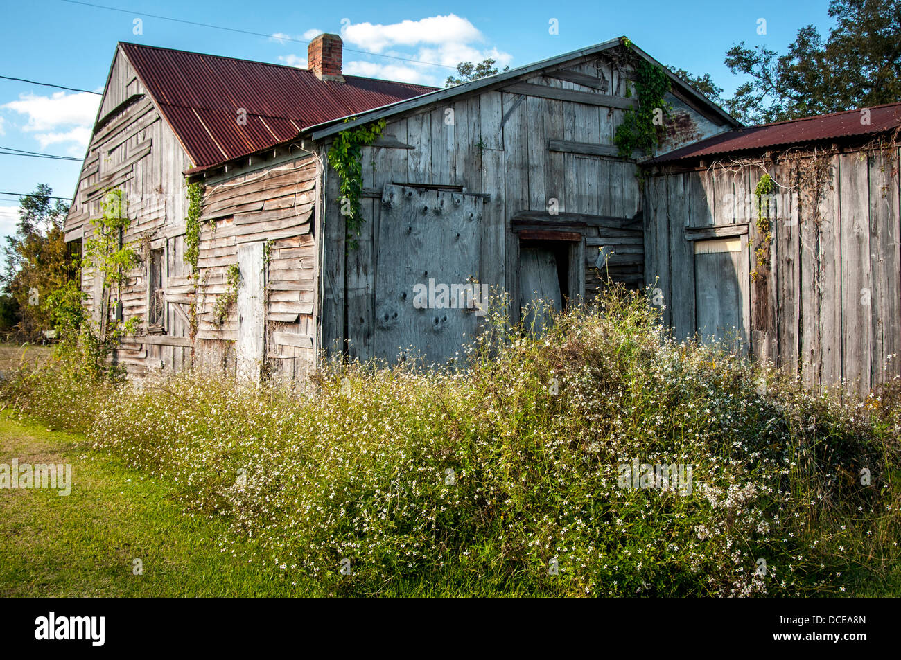 USA, Louisiana, Atchafalaya Basin, Plaquemine, abandoned clapboard house with tin roof. Stock Photo