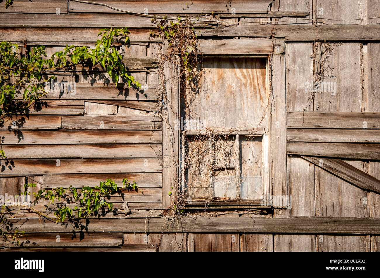 USA, Louisiana, Atchafalaya Basin, Plaquemine, boarded up window of abandoned clapboard house. Stock Photo