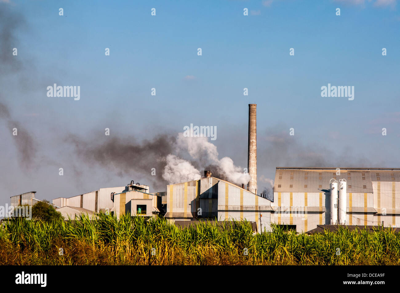 USA, Louisiana, Atchafalaya Basin, Plaquemine, AF Canella Sugarcane Plant with smoke stack and steam emissions. Stock Photo