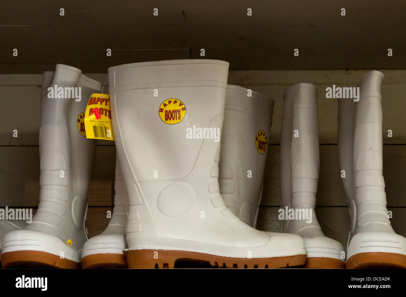 USA, Louisiana, Atchafalaya Basin, Butte LaRose, Doucet's Grocery Store