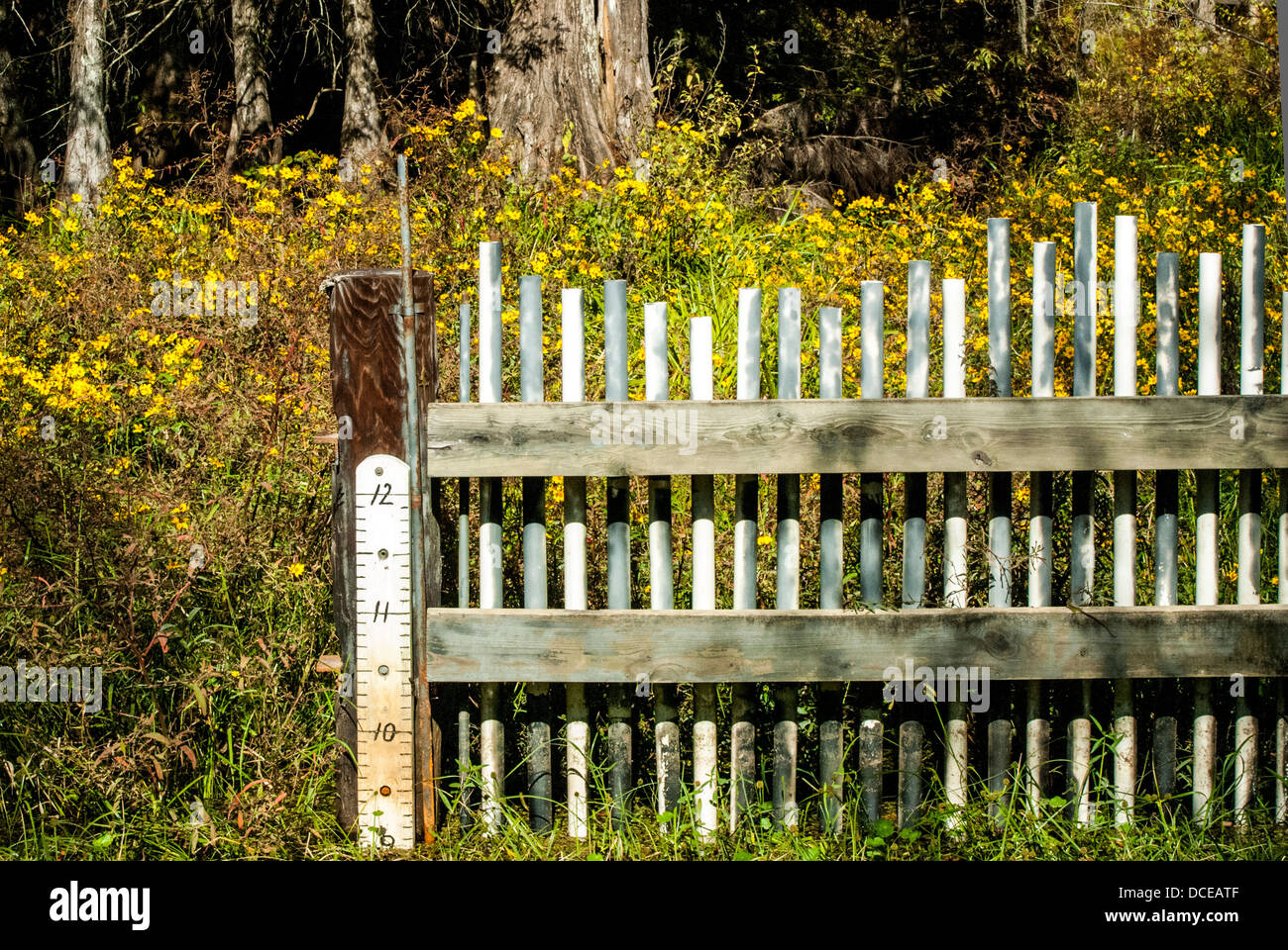 USA, Louisiana, Atchafalaya Basin, Lake Martin, Cypress Island Preserve swamp. Picket fence with water-level measurement. Stock Photo