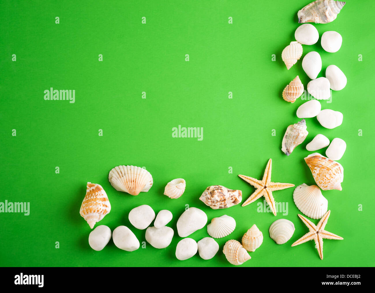sea shells with starfish on green background Stock Photo - Alamy