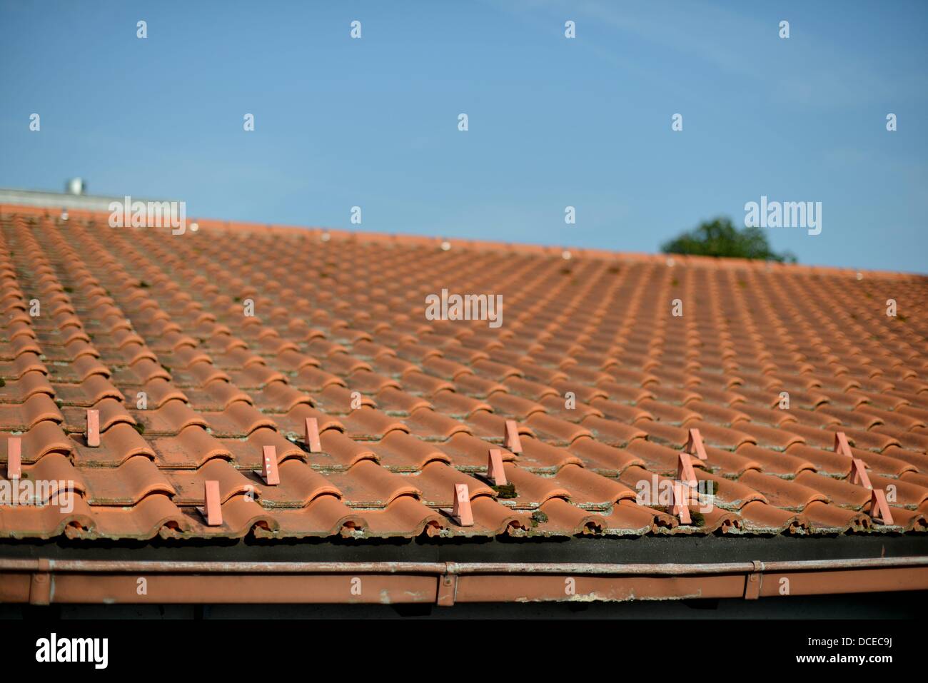 Roofing tile on a house in Germany. Photo: Frank May Stock Photo