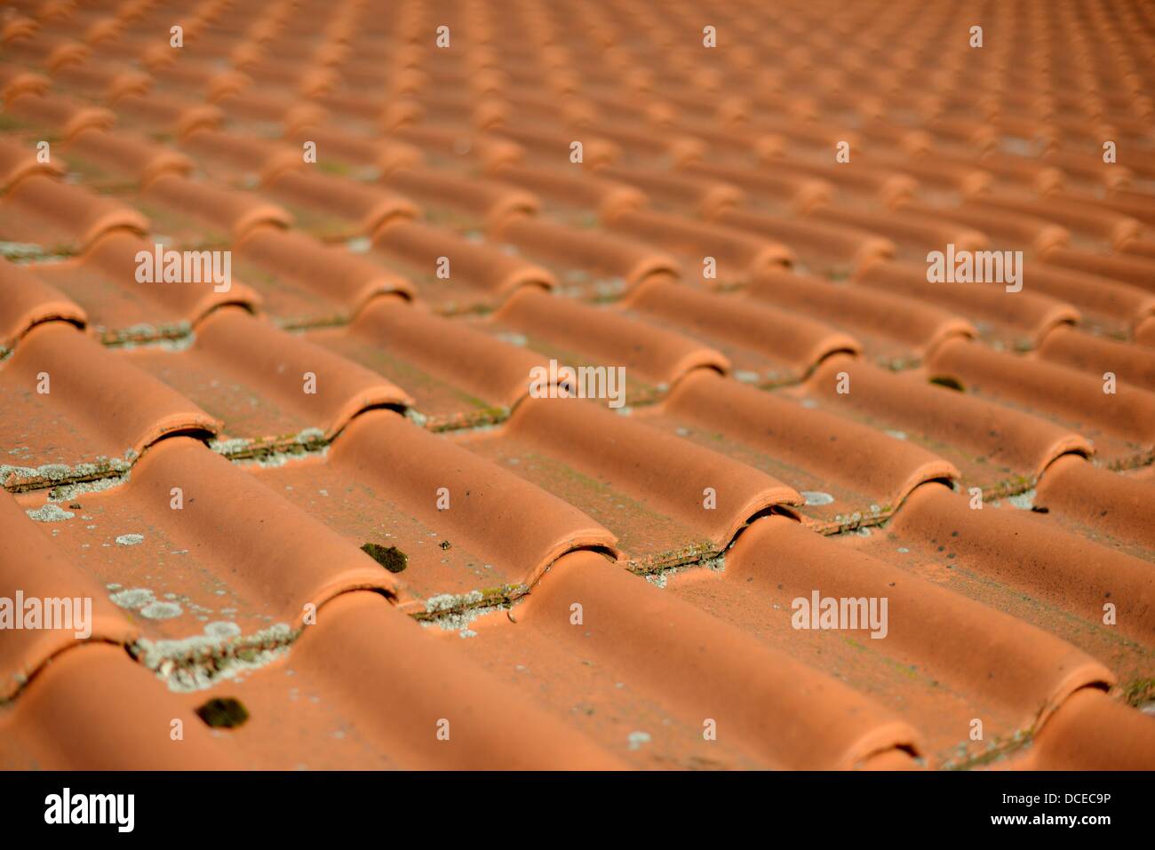 Roofing tile on a house in Germany. Photo: Frank May Stock Photo