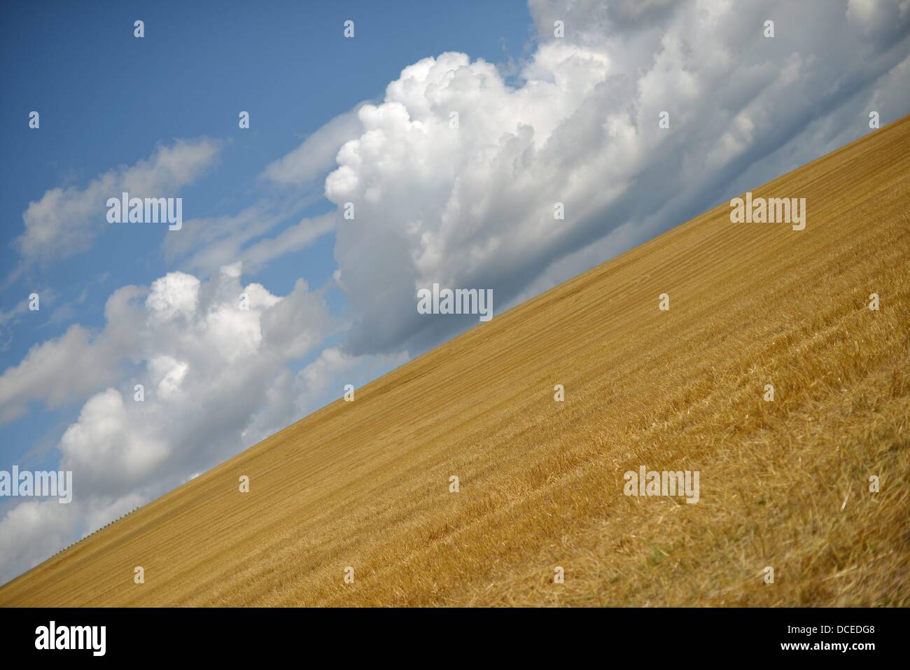 Stubble field with cloudy sky in Germany. Photo Frank May Stock Photo