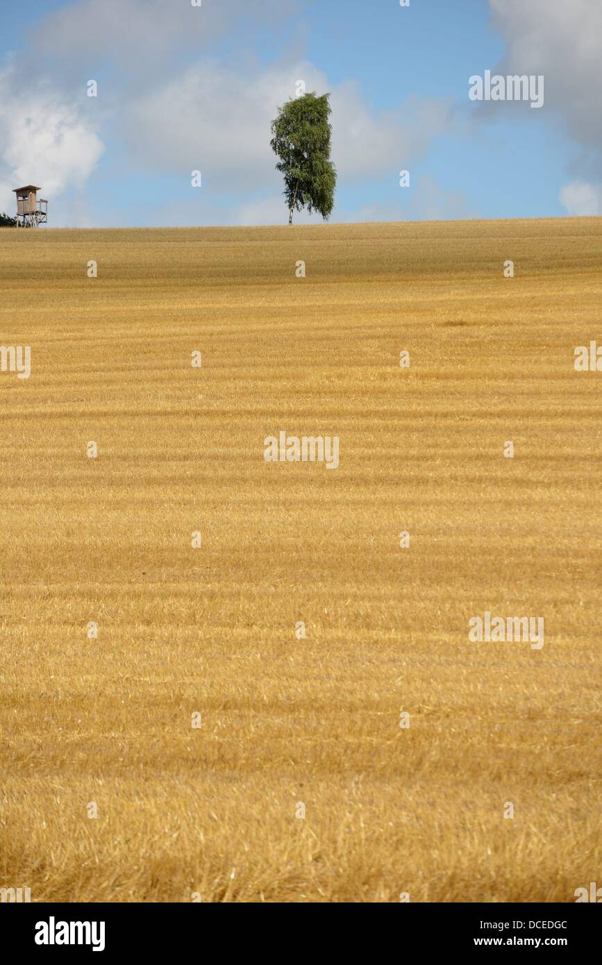 Stubble field with cloudy sky in Germany. Photo Frank May Stock Photo