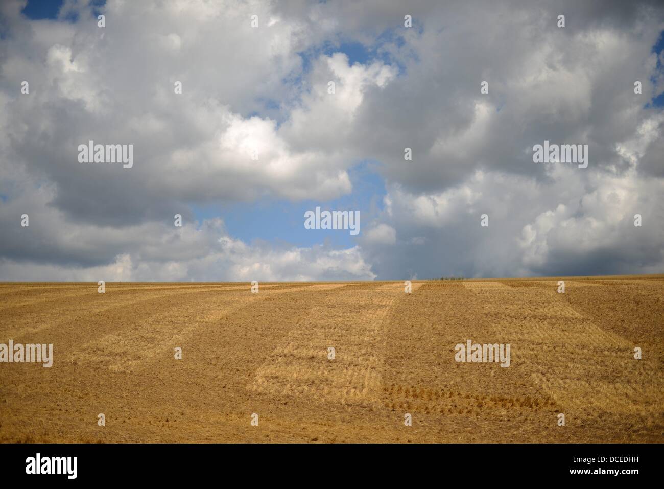 Stubble field with cloudy sky in Germany. Photo: Frank May Stock Photo