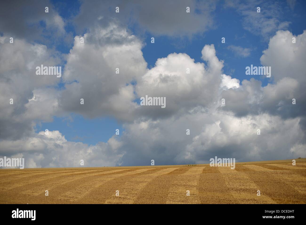 Stubble field with cloudy sky in Germany. Photo: Frank May Stock Photo