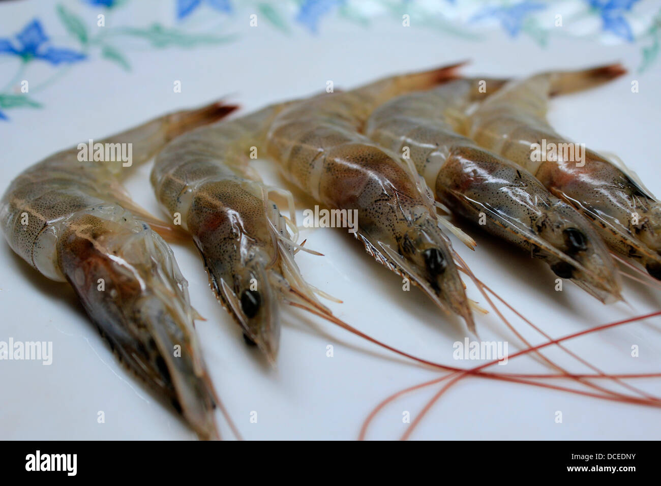 Kerala prawns on a plate (raw, uncooked) Penaeus monodon Stock Photo