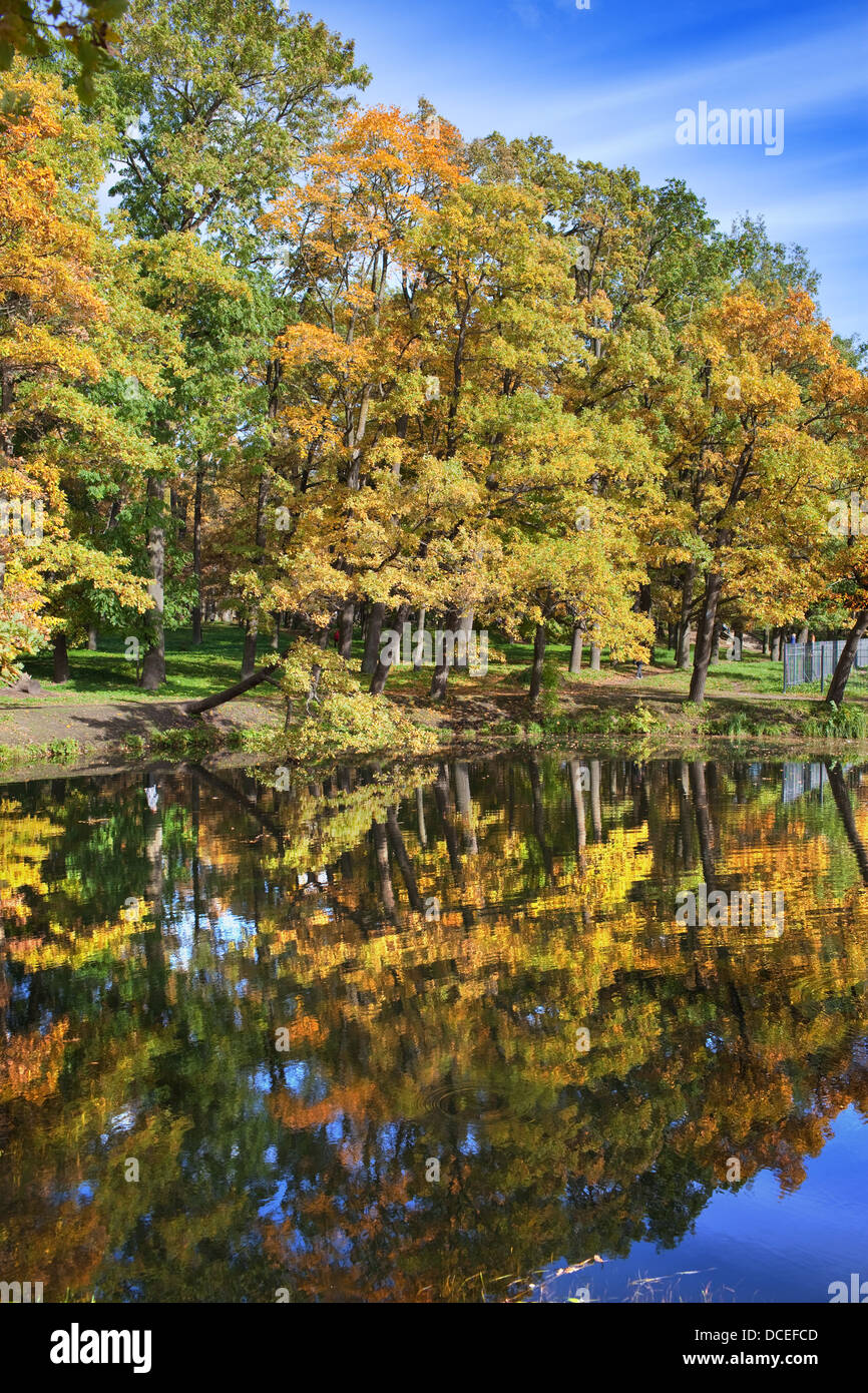 The bright autumn wood is reflected in the lake Stock Photo - Alamy