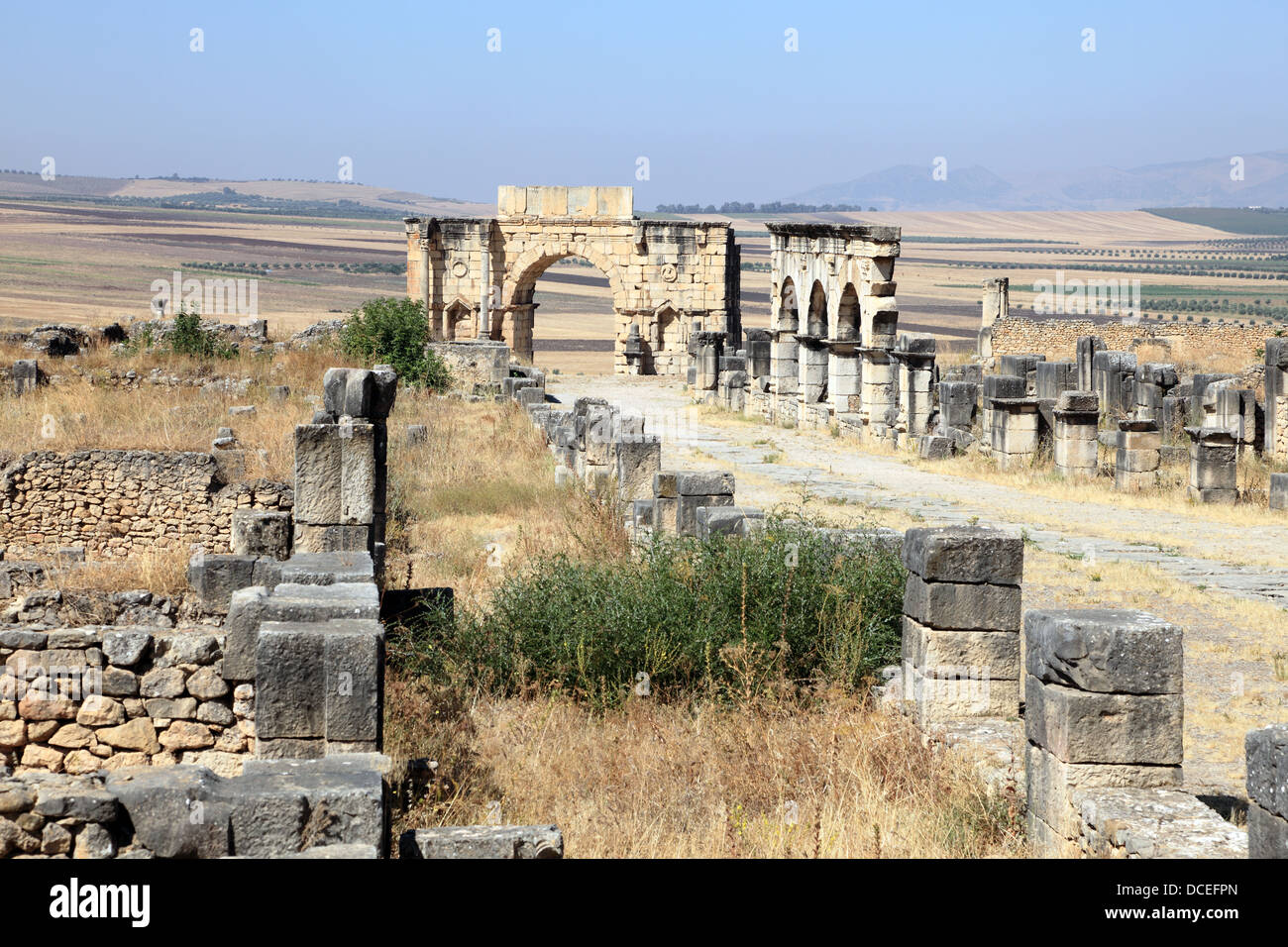 Roman ruins in Volubilis, Morocco, North Africa Stock Photo Alamy