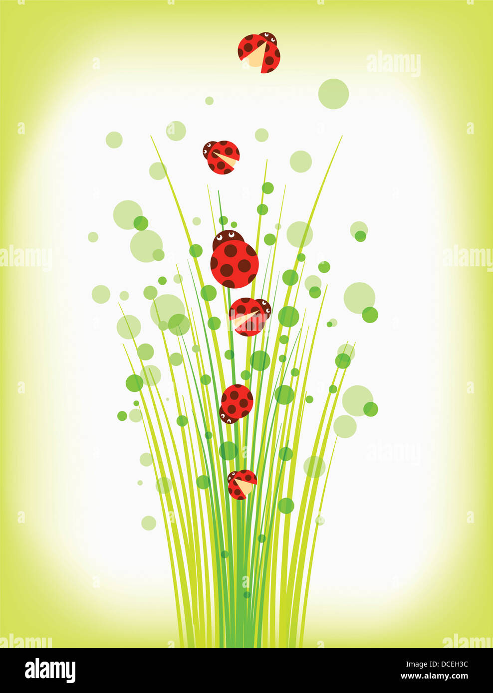 an illustration of plants and ladybugs Stock Photo - Alamy