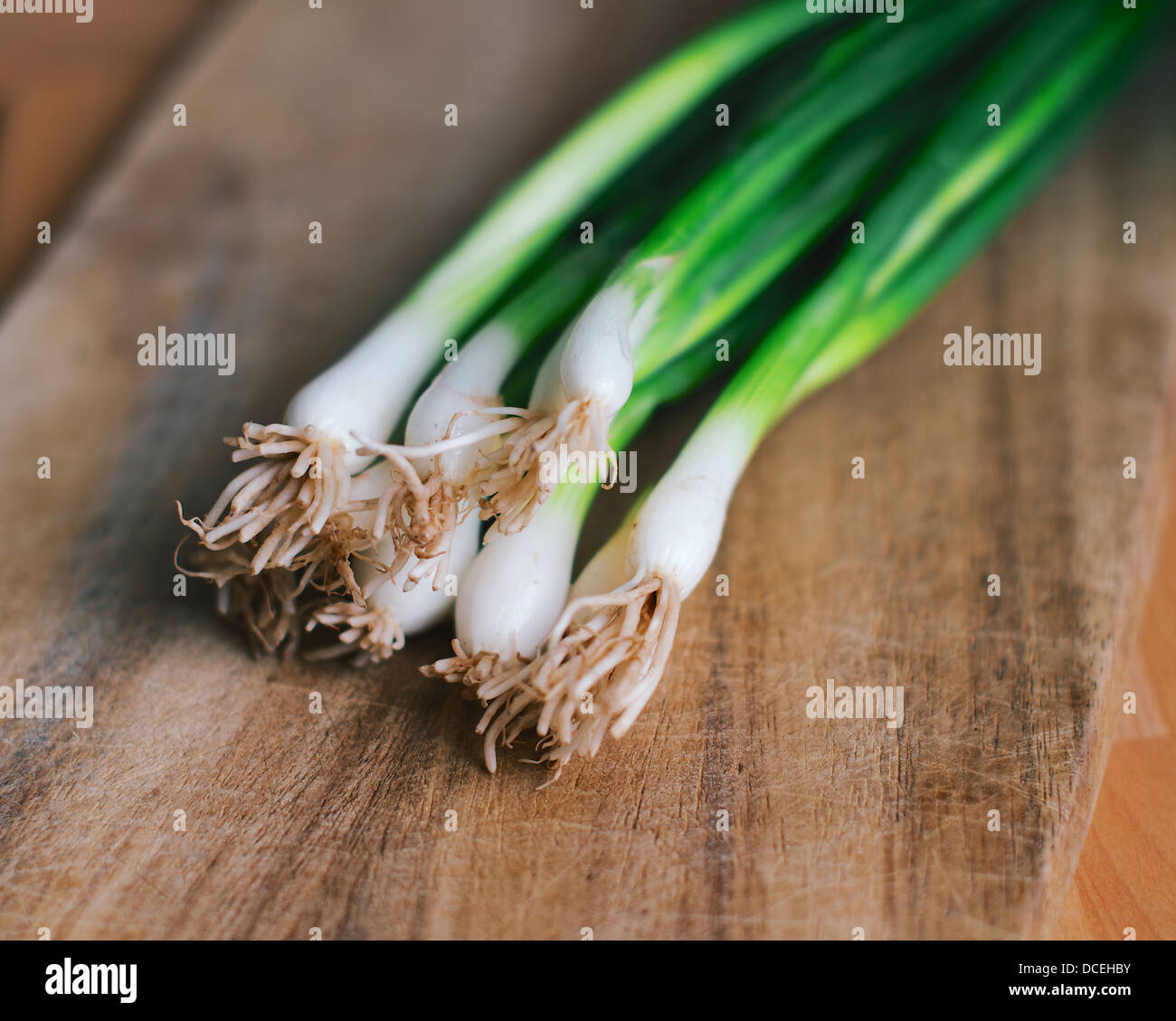 Spring Onions  also known as Scallions Stock Photo