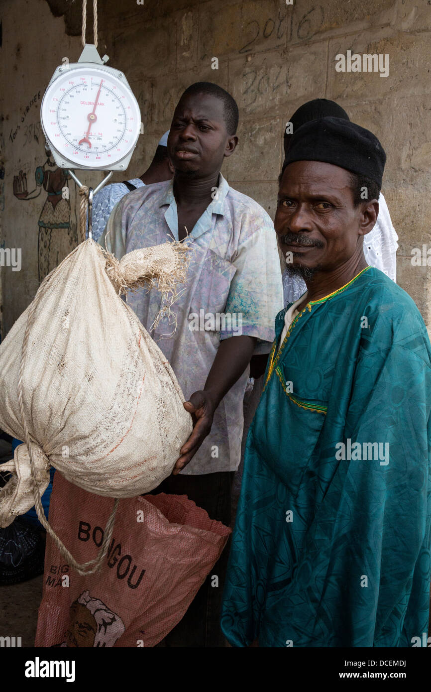 Cashew Nut Buyer Weighing Nuts, Fass Njaga Choi, The Gambia. Stock Photo