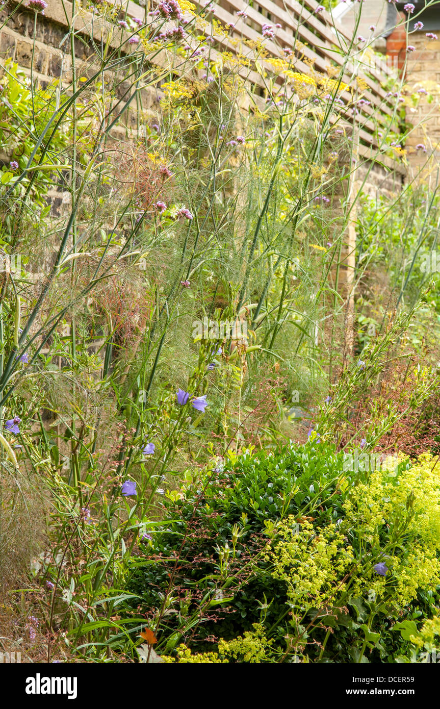 Flowers and wildlife hi-res stock photography and images - Alamy