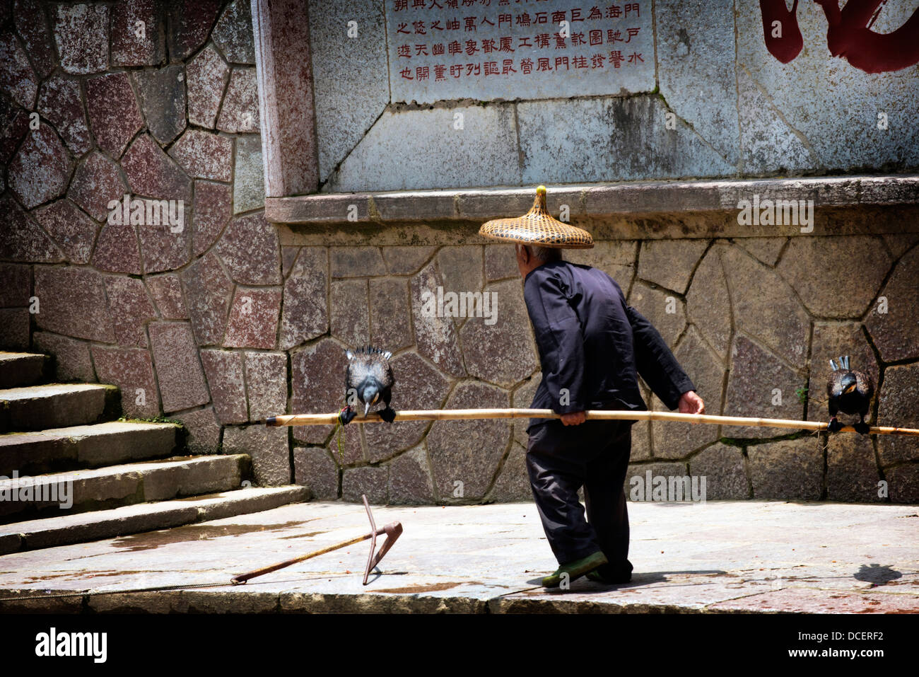 Yangshuo cormorant fisherman Stock Photo Alamy