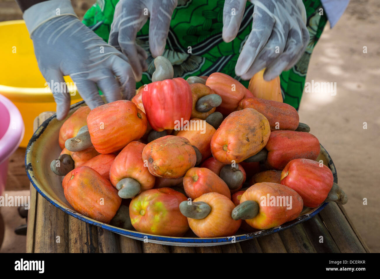 Bowl of Cashew Apples with Cashew Nuts Still Attached, The Gambia Stock Photo